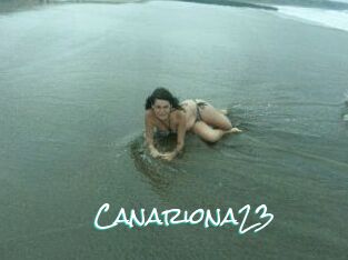 Canariona23