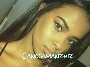 Canelamanzur