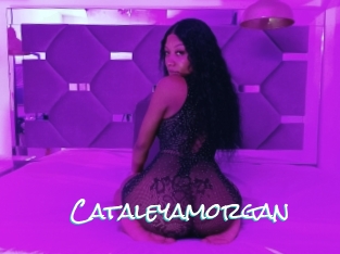 Cataleyamorgan