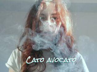 Cato_avocato