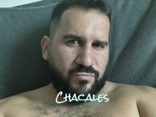 Chacales