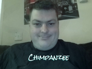 Chimpanzee