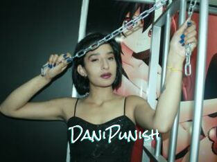 DaniPunish