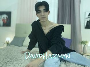 DavidHarmyn