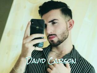 David_Carson