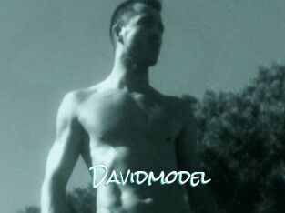 Davidmodel