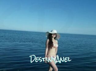 DestinyAnel