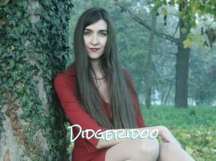 Didgeridoo