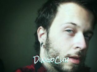 DingoCub
