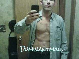Dominantmale