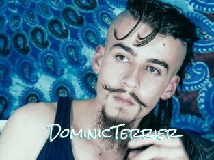 DominicTerrier