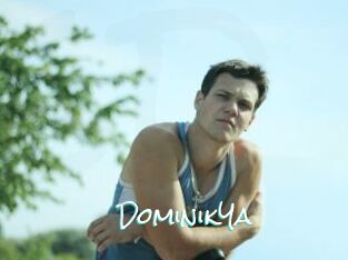 DominikYa