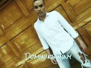 Dominikbunny