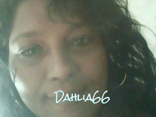 Dahlia66