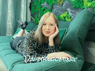 Daisyblooming