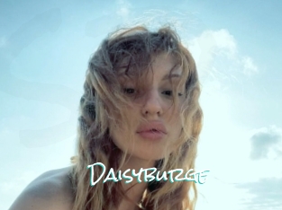 Daisyburge