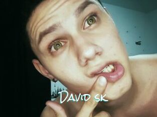 David_sk