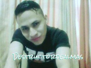 Destructordealmas