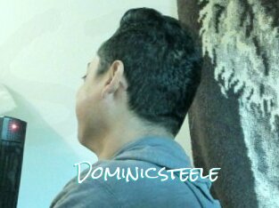Dominicsteele