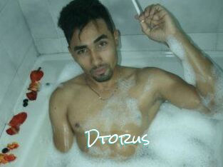 Dtorus