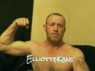 Elliotte_Kane
