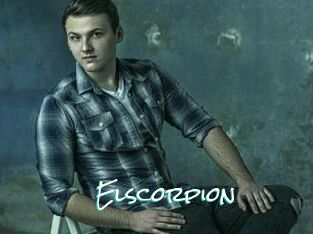 Elscorpion