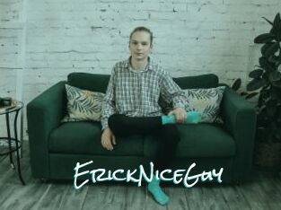 ErickNiceGuy