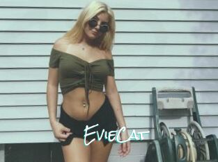 EvieCat