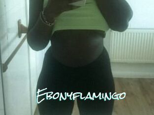 Ebony_flamingo