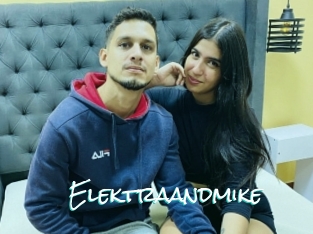 Elektraandmike