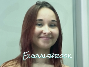 Elgaalsbrook