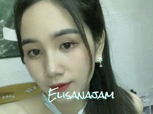 Elisanajam