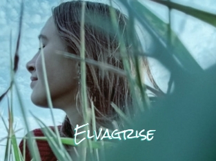 Elvagrise