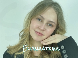 Elvinaatkins