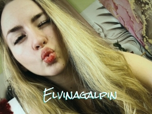 Elvinagalpin