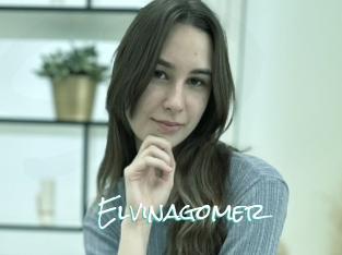Elvinagomer