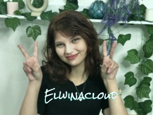 Elwinacloud