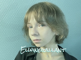 Elwinegallant