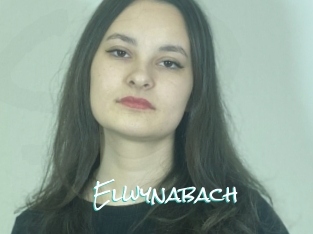 Elwynabach