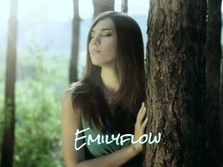 Emilyflow