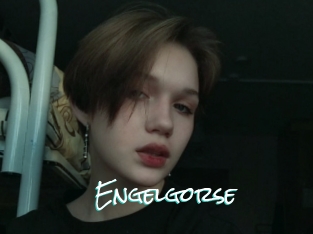 Engelgorse