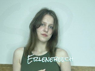 Erlenebeech