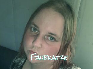 Falbkatze