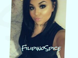 FilipinoSpice