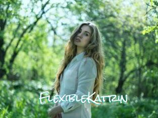 FlexibleKatrin