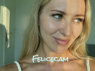 Felicecam