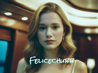 Felicechubb