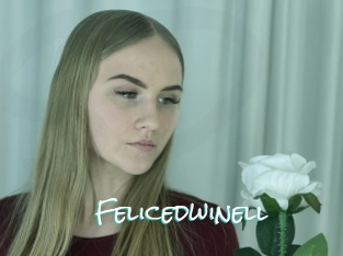 Felicedwinell