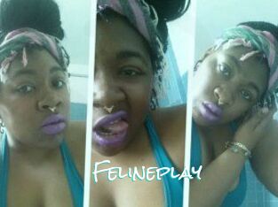 Felineplay