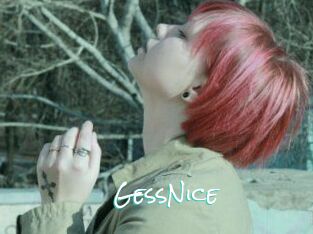 GessNice